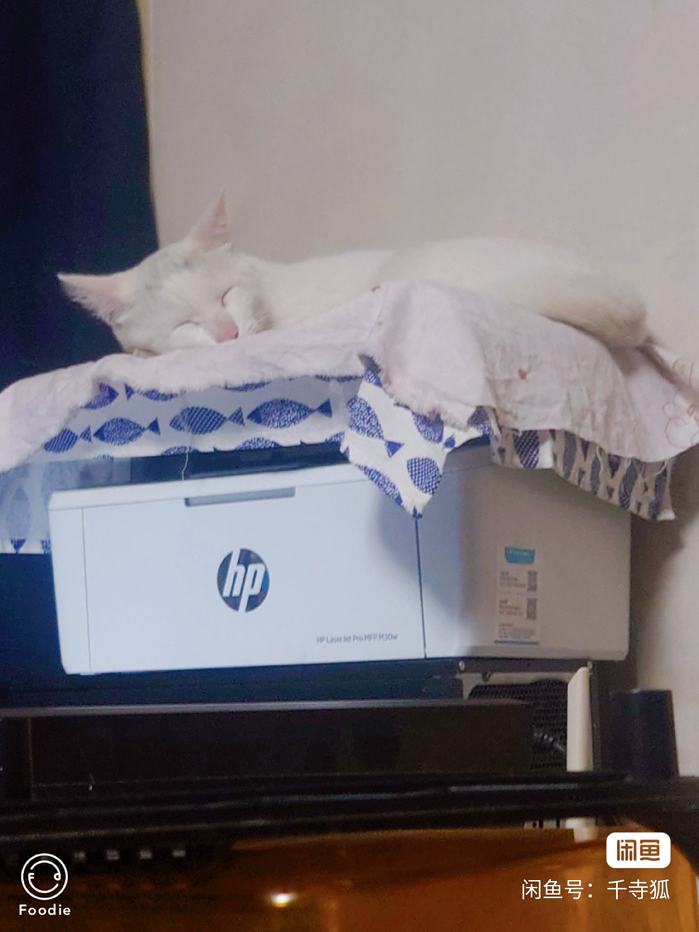 停留在25歲的電馭叛客玩家，和他找來夜之城的母親