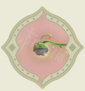 《原神》尋星之旅活動怎麽玩?尋星之旅活動玩法介紹 《原神》尋星之旅活動怎麽玩?尋星之旅活動玩法介紹