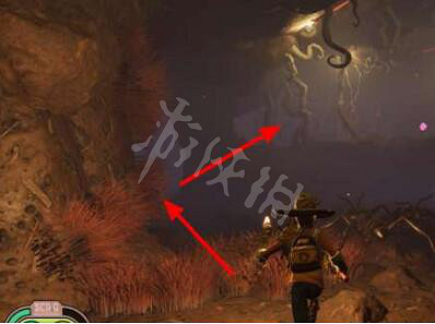 《微小世界生存戰》黑螞蟻實驗室怎麽進？黑螞蟻實驗室流程一覽