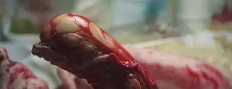 重口、恐怖、詭秘的“生物機械”已經火了三十年