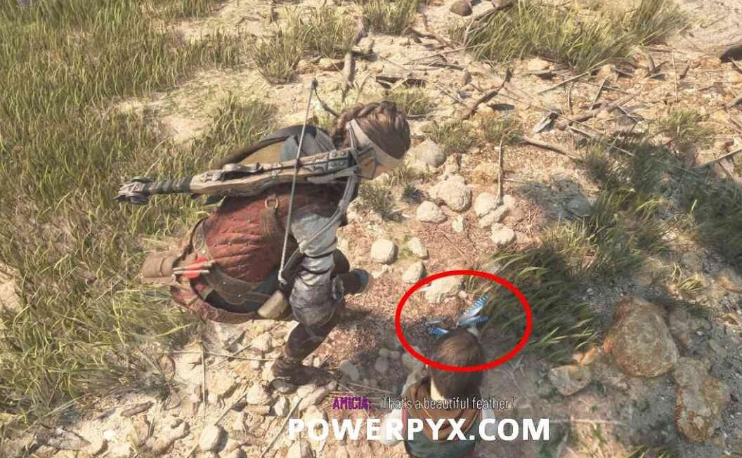 《瘟疫傳說安魂曲》羽毛在哪裡?鳥類學家獎杯攻略 《瘟疫傳說安魂曲》羽毛在哪裡?鳥類學家獎杯攻略