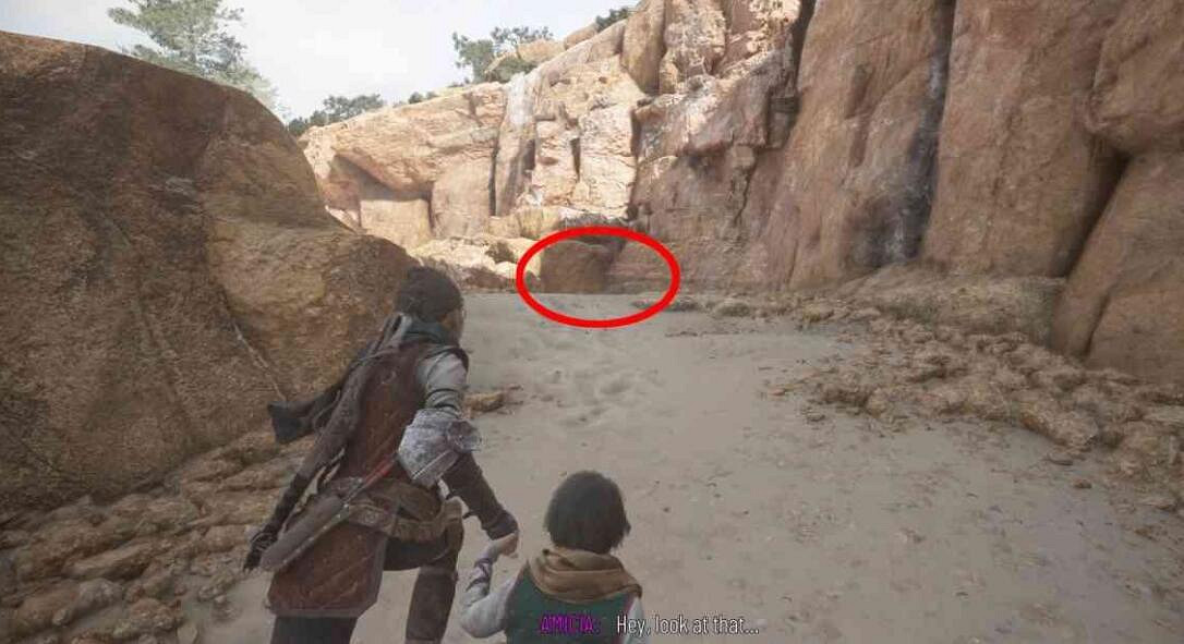 《瘟疫傳說安魂曲》羽毛在哪裡?鳥類學家獎杯攻略 《瘟疫傳說安魂曲》羽毛在哪裡?鳥類學家獎杯攻略