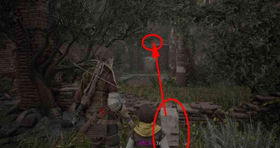 《瘟疫傳說安魂曲》全回憶收集攻略 回憶位置在哪? 《瘟疫傳說安魂曲》全回憶收集攻略 回憶位置在哪?