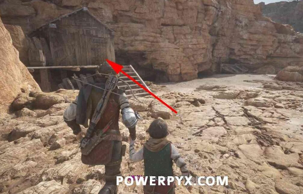 《瘟疫傳說安魂曲》羽毛在哪裡?鳥類學家獎杯攻略 《瘟疫傳說安魂曲》羽毛在哪裡?鳥類學家獎杯攻略