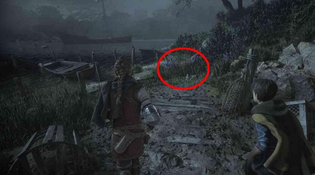 《瘟疫傳說安魂曲》雨果的花在哪?藥師成就收集攻略 《瘟疫傳說安魂曲》雨果的花在哪?藥師成就收集攻略