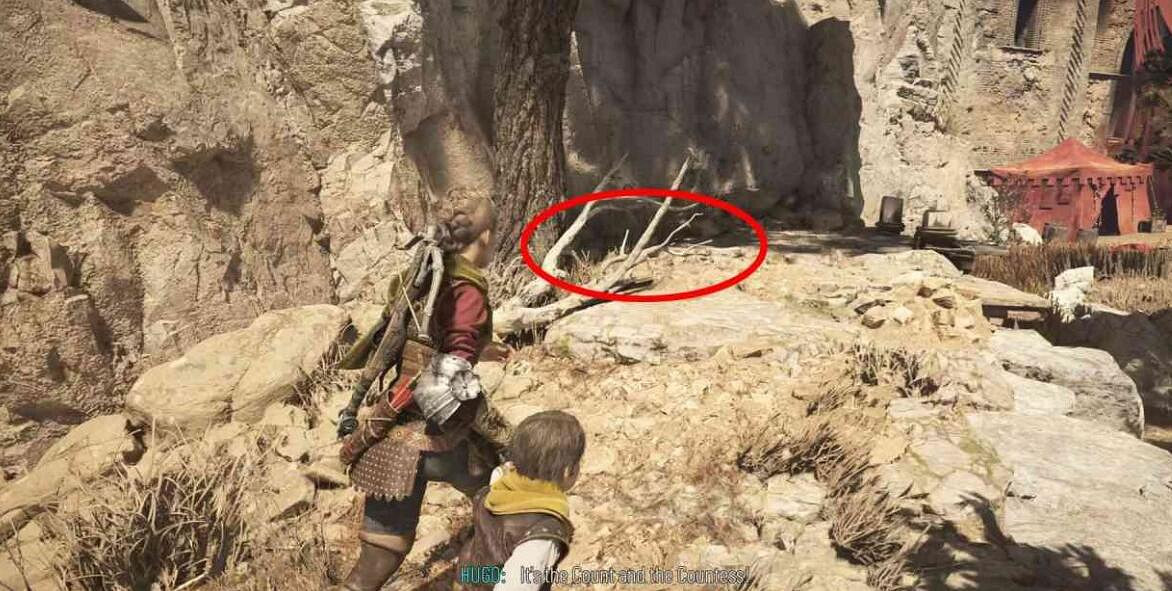 《瘟疫傳說安魂曲》羽毛在哪裡?鳥類學家獎杯攻略 《瘟疫傳說安魂曲》羽毛在哪裡?鳥類學家獎杯攻略