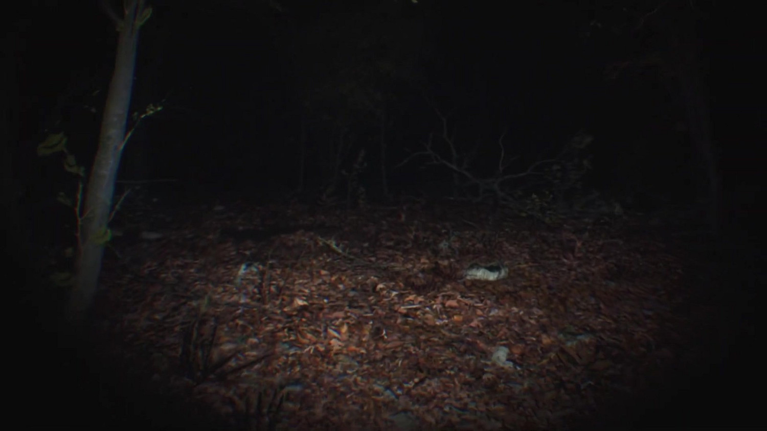 全新虛幻5打造隨身視角恐怖遊戲《靈異傳說》公布 全新虛幻5打造隨身視角恐怖遊戲《靈異傳說》公布