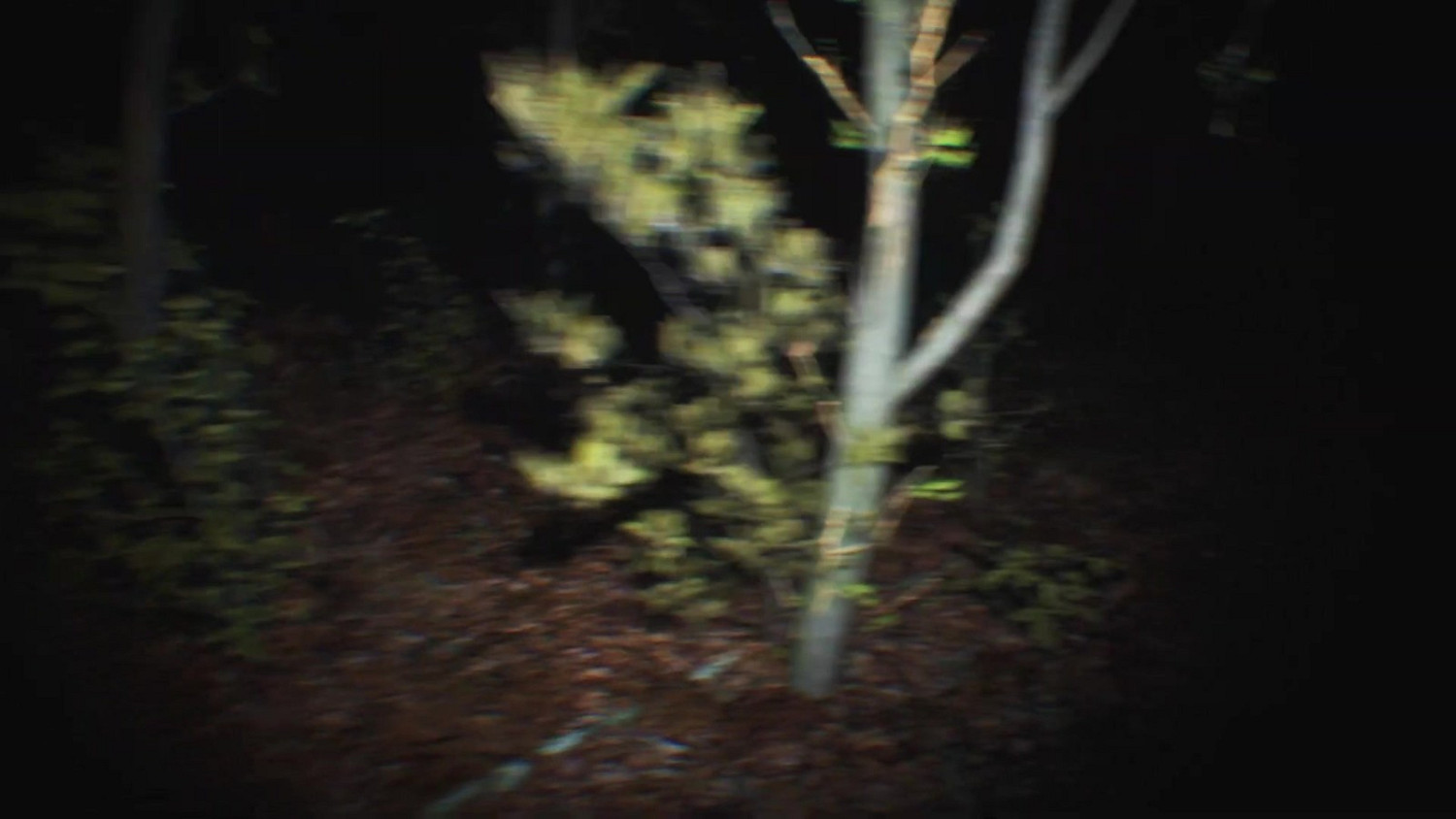 全新虛幻5打造隨身視角恐怖遊戲《靈異傳說》公布 全新虛幻5打造隨身視角恐怖遊戲《靈異傳說》公布