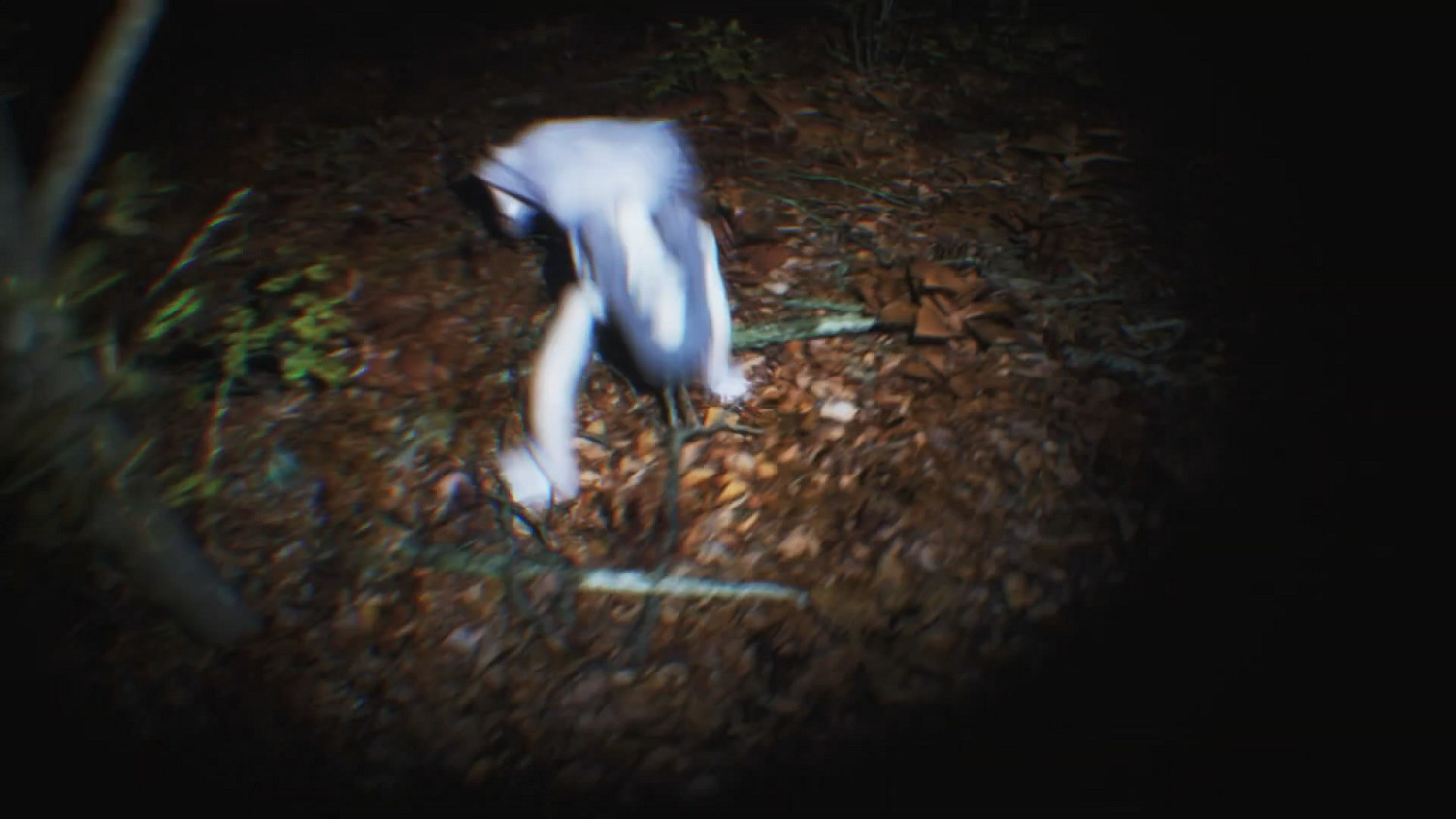 沉浸感一流!虛幻5恐怖新作《靈異傳說》首部預告片 沉浸感一流!虛幻5恐怖新作《靈異傳說》首部預告片