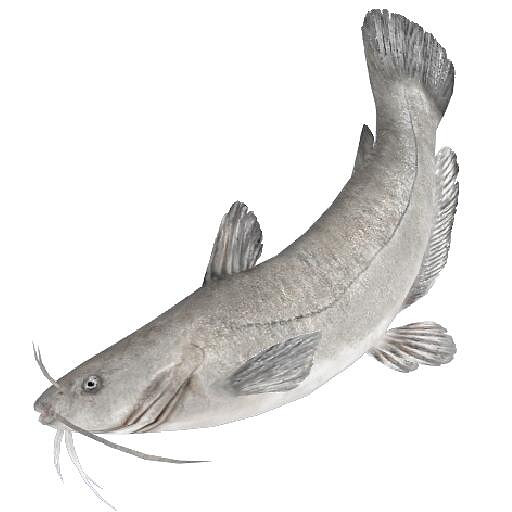 萬聖節狂歡垂釣《釣魚大對決》"馬達加斯加"熱情開放 萬聖節狂歡垂釣《釣魚大對決》"馬達加斯加"熱情開放