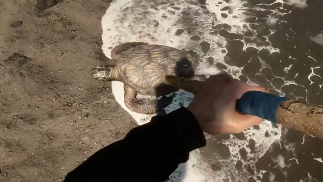 地圖為前作四倍!《森林》續作《森林之子》曝新情報 地圖為前作四倍!《森林》續作《森林之子》曝新情報