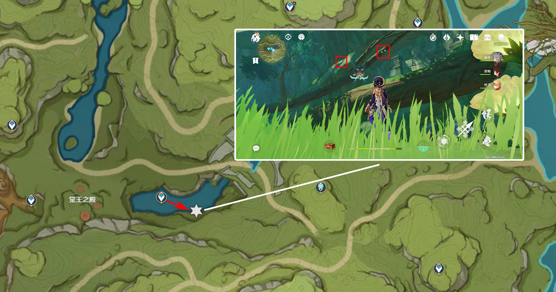 《原神》劫波蓮哪裡最多?劫波蓮採集位置推薦 《原神》劫波蓮哪裡最多?劫波蓮採集位置推薦