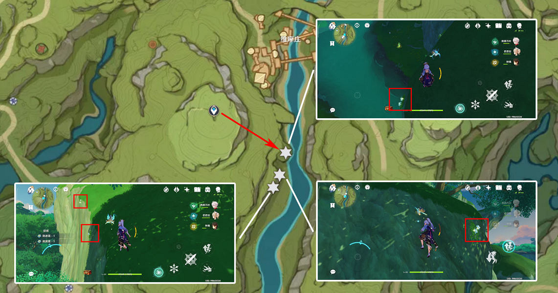 《原神》劫波蓮哪裡最多?劫波蓮採集位置推薦 《原神》劫波蓮哪裡最多?劫波蓮採集位置推薦