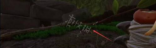 《微小世界生存戰》野草莖幹在哪裡獲得?野草莖幹位置一覽 《微小世界生存戰》野草莖幹在哪裡獲得?野草莖幹位置一覽