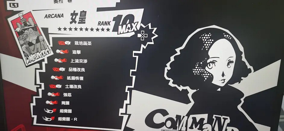 《女神異聞錄5皇家版》coop優先度順序 coop優先級順序 《女神異聞錄5皇家版》coop優先度順序 coop優先級順序