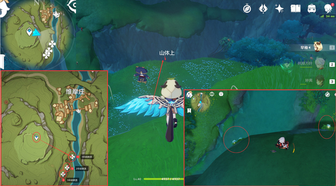 《原神》劫波蓮採集點在哪？劫波蓮點位介紹