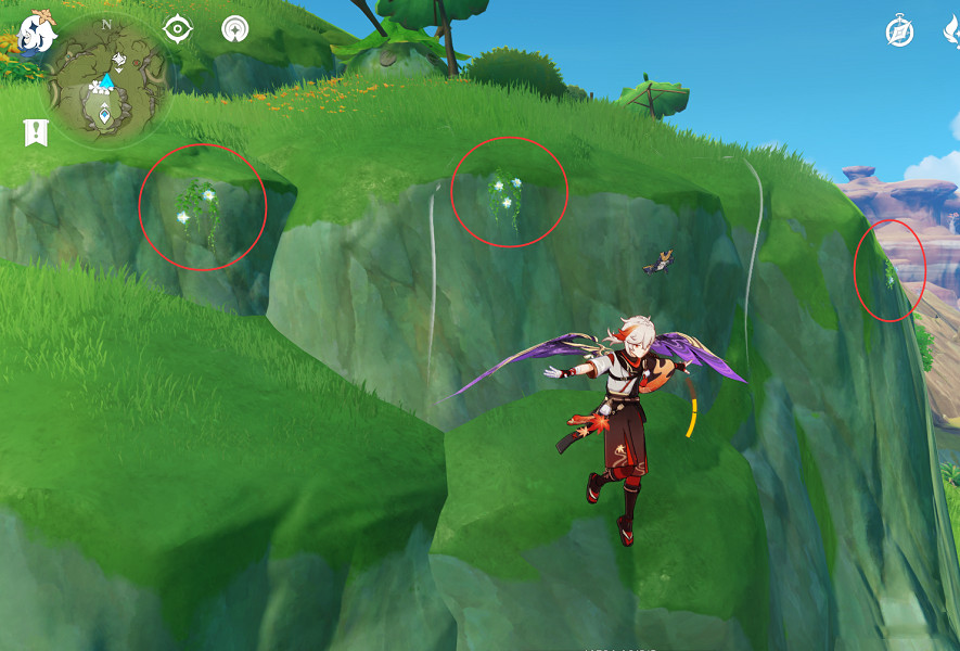 《原神》劫波蓮採集點在哪？劫波蓮點位介紹