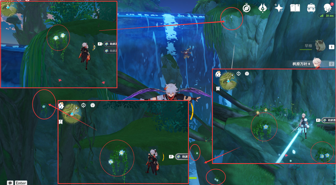 《原神》劫波蓮採集點在哪？劫波蓮點位介紹