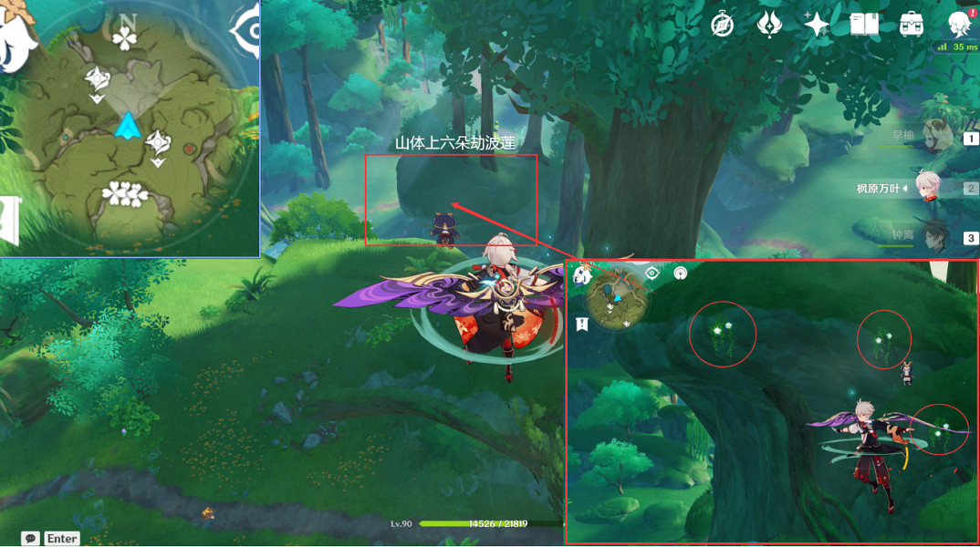 《原神》劫波蓮採集點在哪？劫波蓮點位介紹