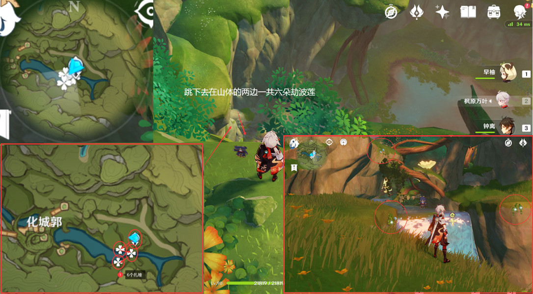 《原神》劫波蓮採集點在哪？劫波蓮點位介紹