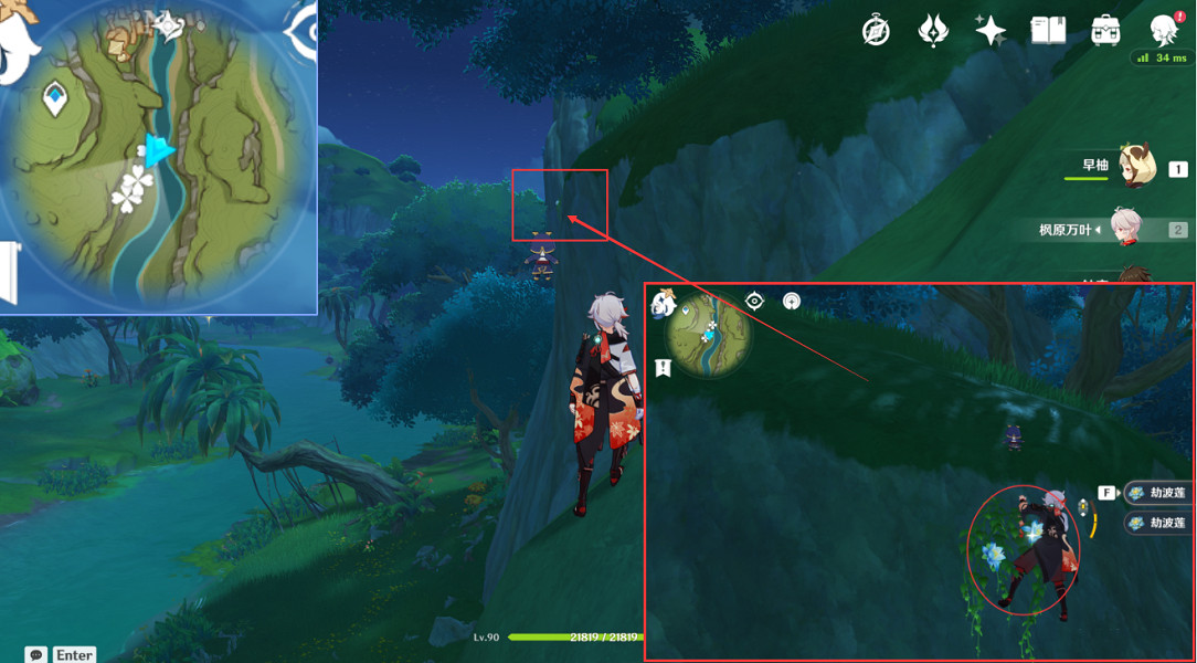 《原神》劫波蓮採集點在哪？劫波蓮點位介紹