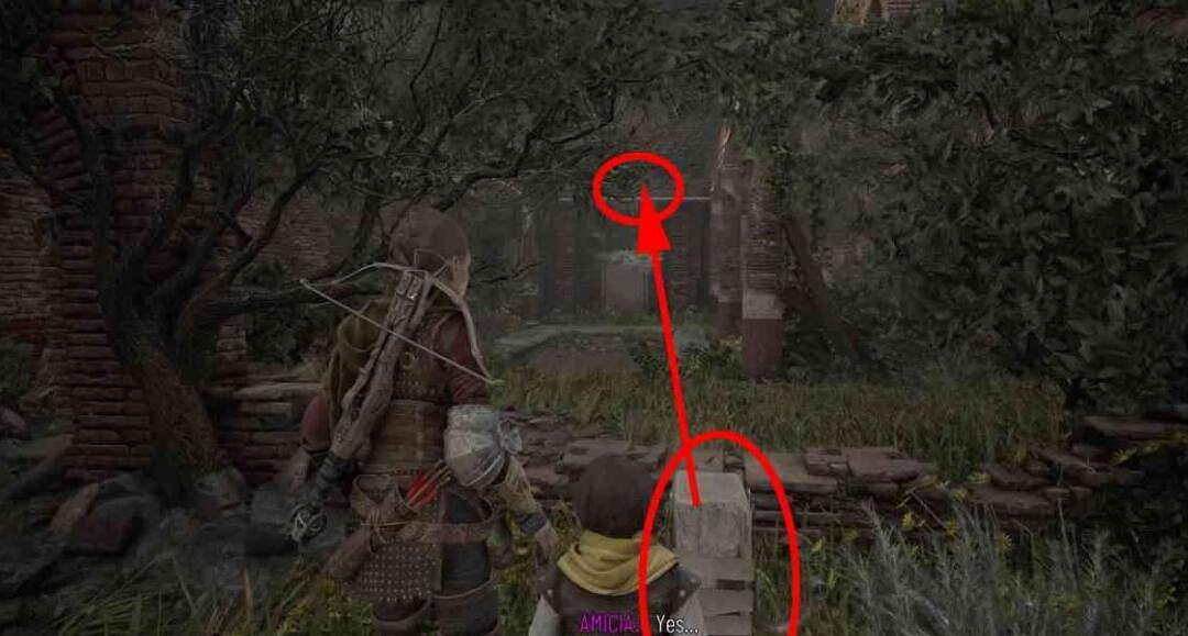 《瘟疫傳說安魂曲》第十章攻略收集分布一覽 第十章全收集 《瘟疫傳說安魂曲》第十章攻略收集分布一覽 第十章全收集