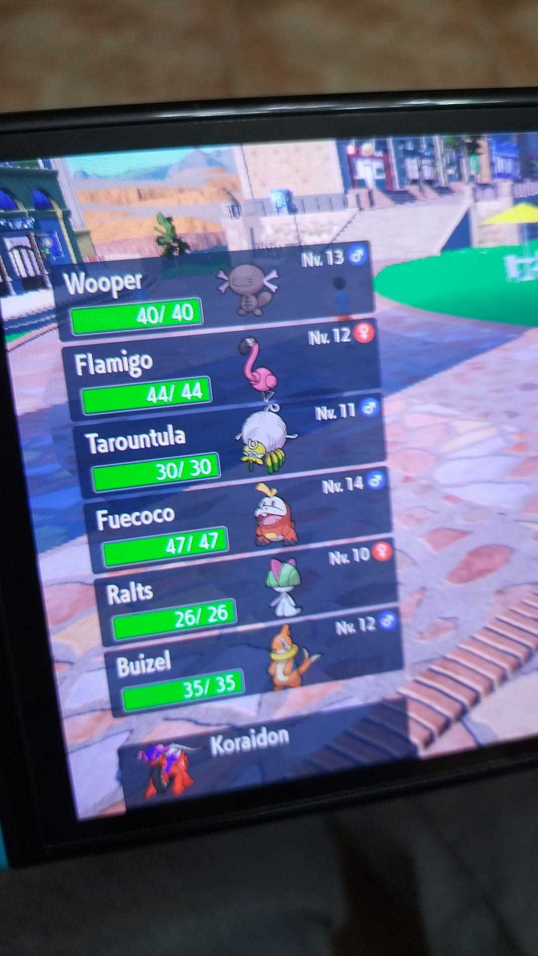 《寶可夢：朱/紫》大量泄露 神獸竟是海邊撿到的？