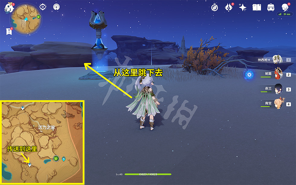 《原神》無相之草在哪裡?無相之草位置介紹 《原神》無相之草在哪裡?無相之草位置介紹