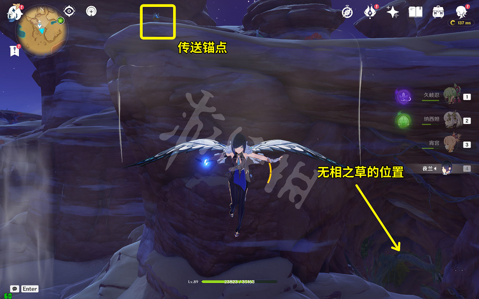 《原神》無相之草在哪裡?無相之草位置介紹 《原神》無相之草在哪裡?無相之草位置介紹