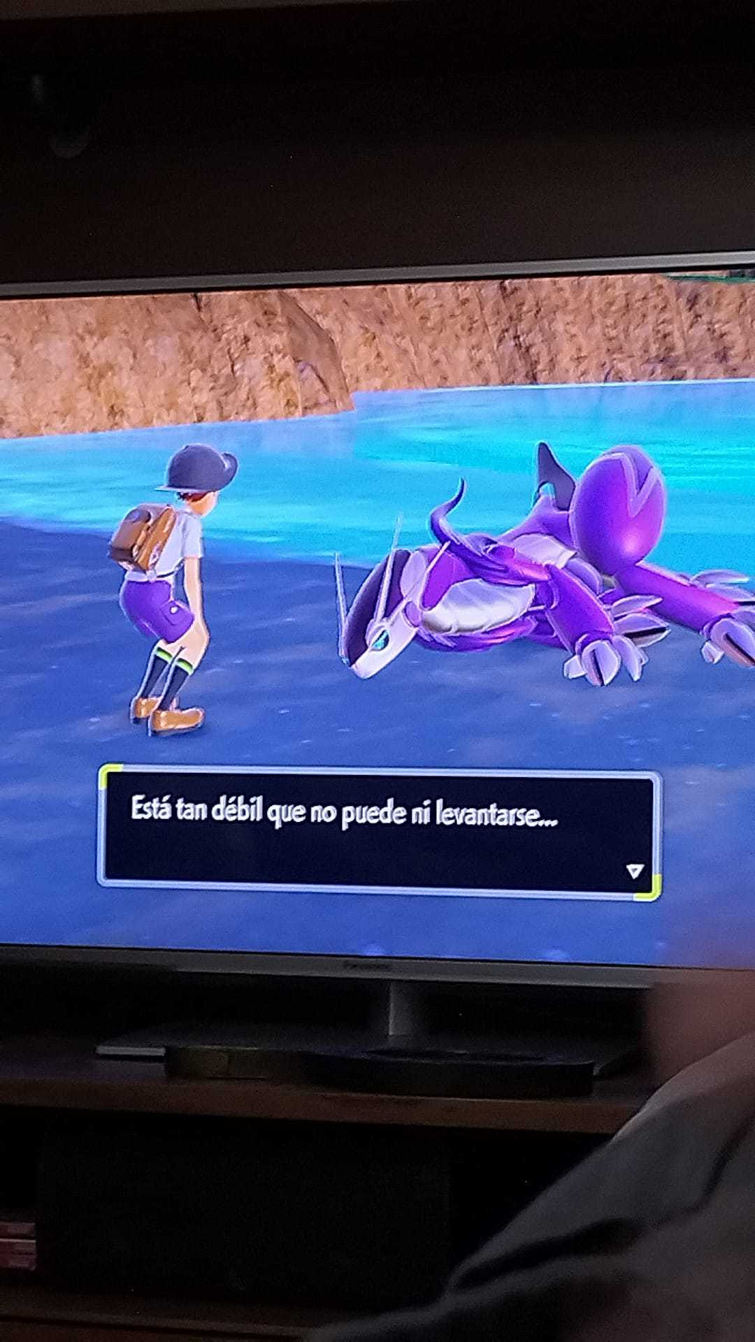 《寶可夢：朱/紫》大量泄露 神獸竟是海邊撿到的？