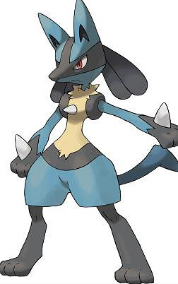 《寶可夢朱紫》路卡利歐屬性是什麽?路卡利歐簡單介紹 《寶可夢朱紫》路卡利歐屬性是什麽?路卡利歐簡單介紹