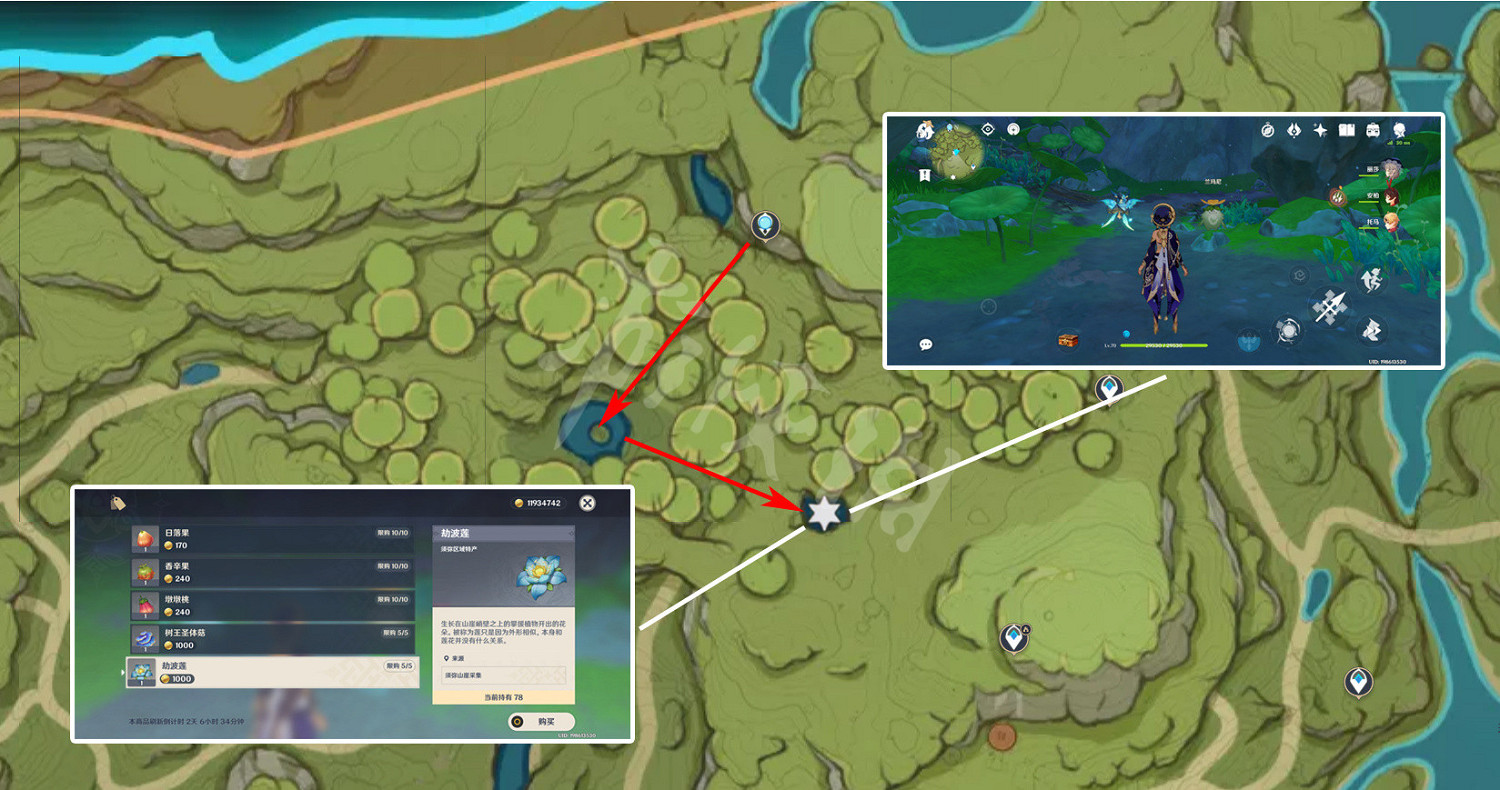 《原神》蘭納羅商人在哪?蘭那羅商人位置介紹 《原神》蘭納羅商人在哪?蘭那羅商人位置介紹