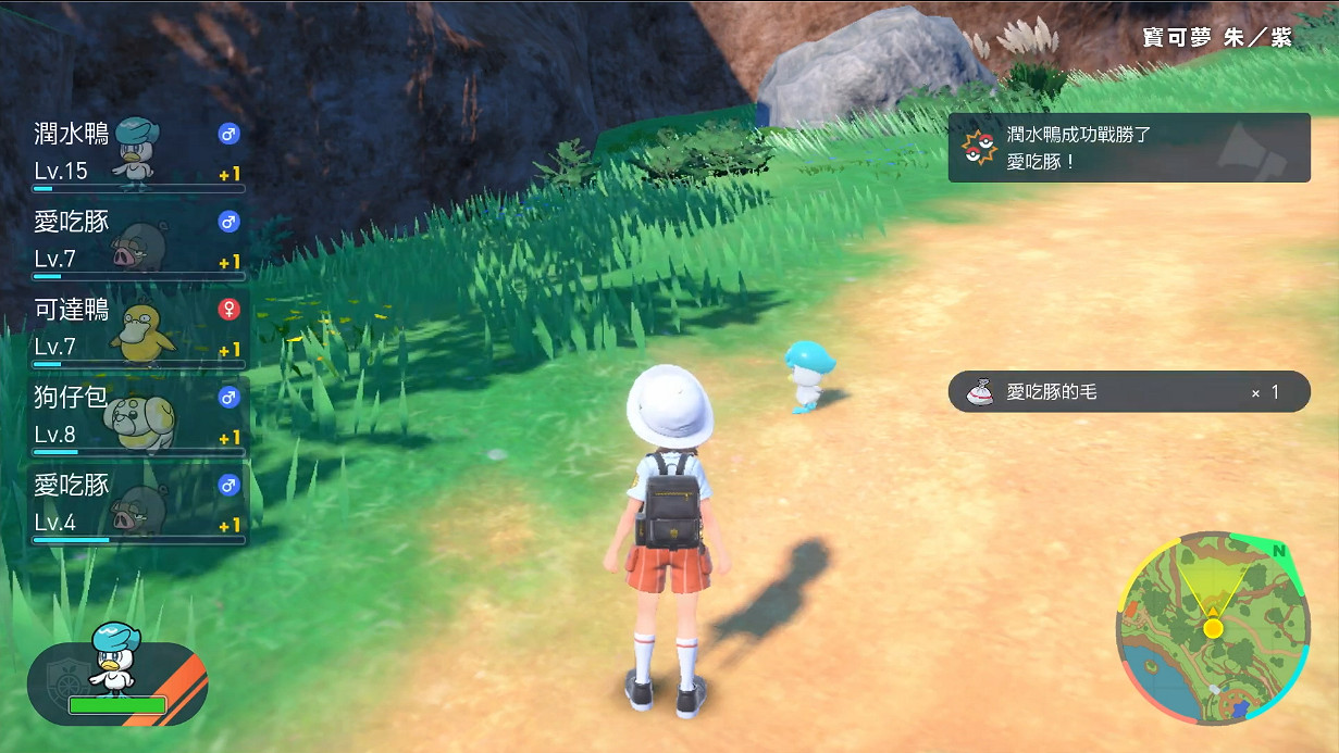 超大地圖想去哪都行！《寶可夢:朱/紫》新中文宣傳片