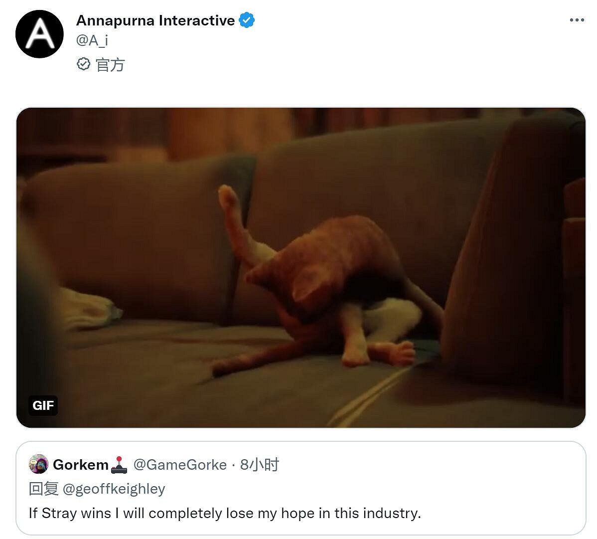 玩家留言《流浪》不配年度最佳遊戲！官方：喵不在乎！