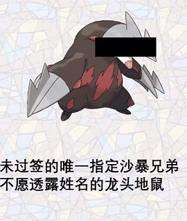 《寶可夢朱紫》朱紫的四大天氣介紹 《寶可夢朱紫》朱紫的四大天氣介紹