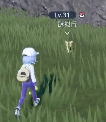 《寶可夢朱紫》謎擬丘捕捉地點介紹