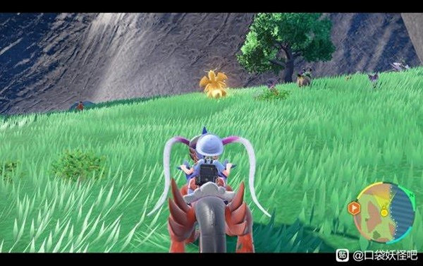 《寶可夢朱紫》太晶鋼快龍位置介紹 《寶可夢朱紫》太晶鋼快龍位置介紹