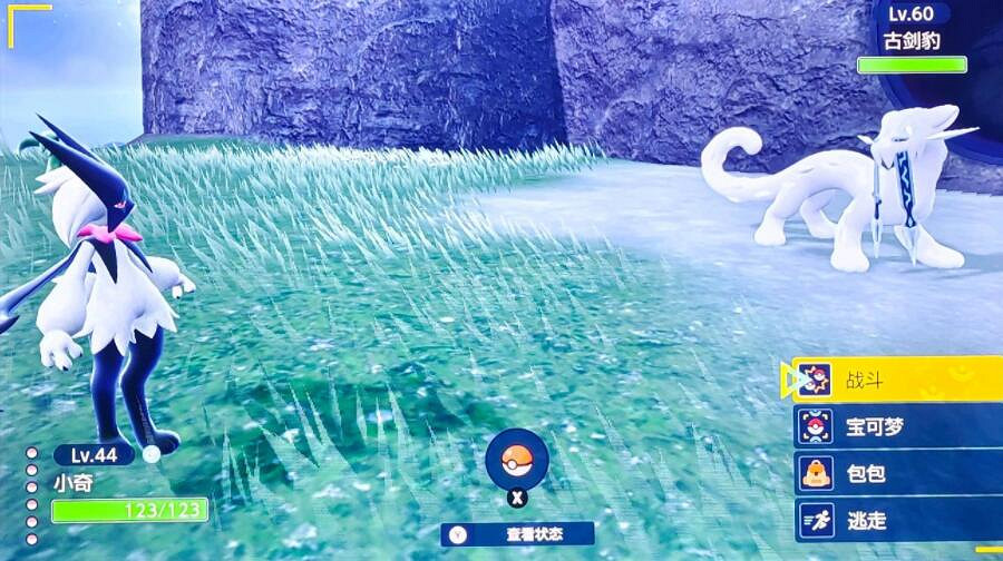 《寶可夢朱紫》一周目可以解鎖二級神嗎？二級神一周目解鎖心得