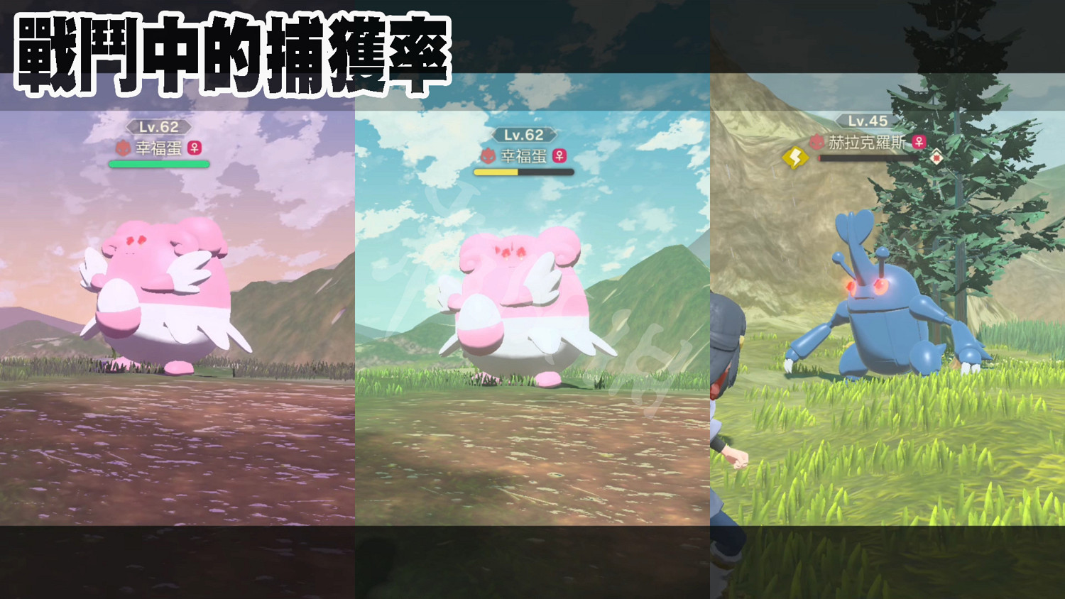《寶可夢傳說阿爾宙斯》捕獲率怎麽提高?捕獲率提高方法介紹 《寶可夢傳說阿爾宙斯》捕獲率怎麽提高?捕獲率提高方法介紹