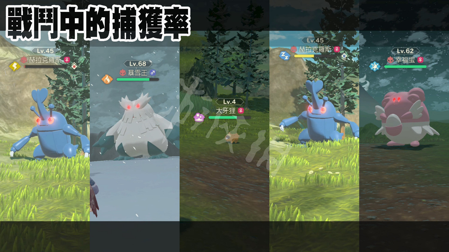 《寶可夢傳說阿爾宙斯》捕獲率怎麽提高?捕獲率提高方法介紹 《寶可夢傳說阿爾宙斯》捕獲率怎麽提高?捕獲率提高方法介紹