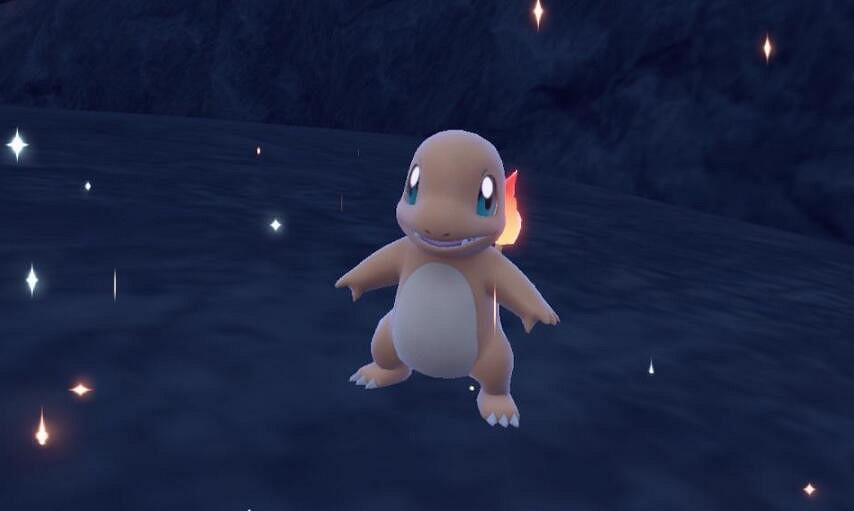 《寶可夢朱紫》孵蛋玩法機制解析 怎麽生蛋？