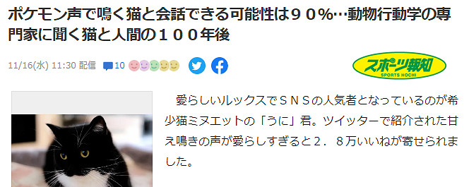 網紅貓可發出寶可夢電子聲 動物專家表示90%成功率可與貓對話 網紅貓可發出寶可夢電子聲 動物專家表示90%成功率可與貓對話