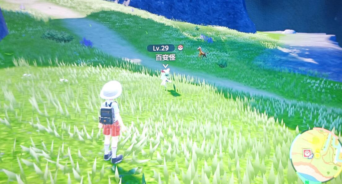 《寶可夢朱紫》百變怪在哪刷？百變怪位置及獲得方法