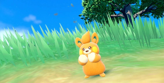 寶可夢朱紫布拔怎麽進化 寶可夢朱紫布拔怎麽進化