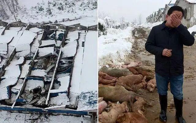 暴雪將與網易結束合作!網易今日開盤股價大跌10% 暴雪將與網易結束合作!網易今日開盤股價大跌10%