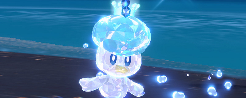 寶可夢朱紫朱版本布拔在哪裡抓