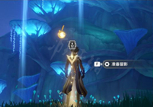 《原神》拜托是蘑菇啊拍攝地點在哪?拜托是蘑菇啊拍攝地點 《原神》拜托是蘑菇啊拍攝地點在哪?拜托是蘑菇啊拍攝地點