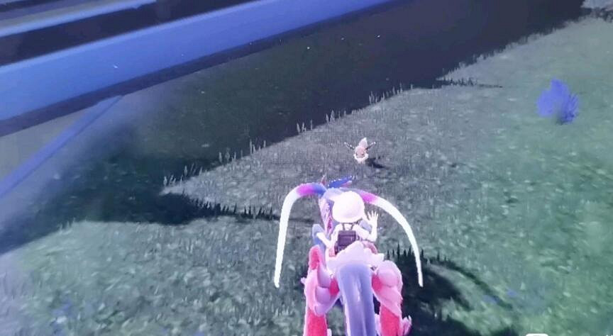 《寶可夢朱紫》圖鑒大全 朱精靈位置分布匯總 《寶可夢朱紫》圖鑒大全 朱精靈位置分布匯總