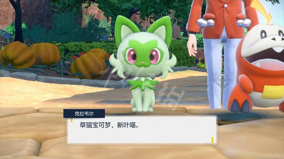 《寶可夢朱紫》圖文攻略 全劇情流程全圖鑒全道館冠軍之路攻略 《寶可夢朱紫》圖文攻略 全劇情流程全圖鑒全道館冠軍之路攻略