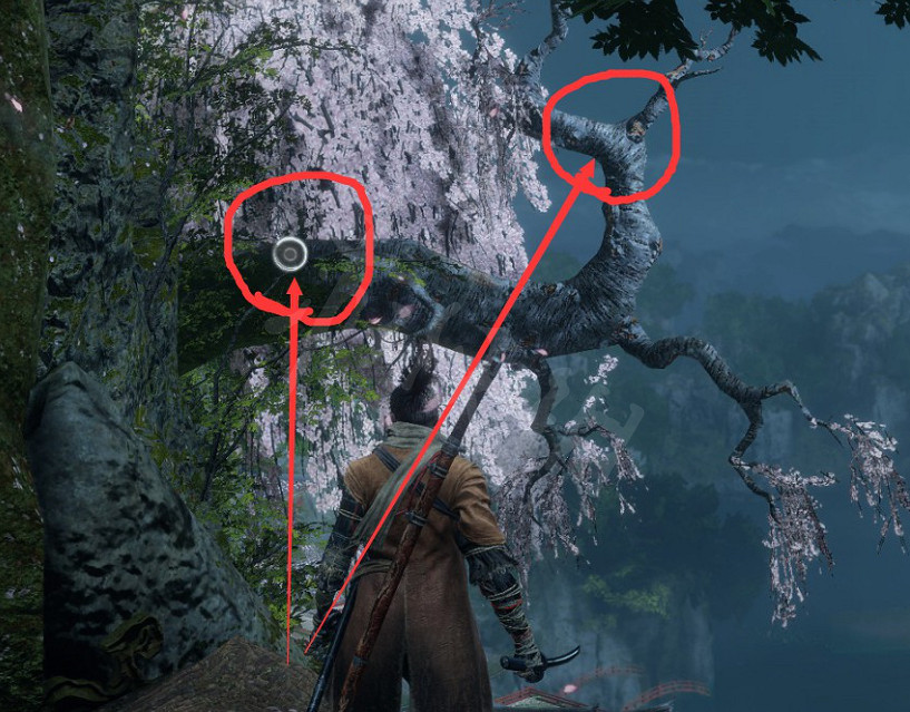 《隻狼暗影雙死》源之宮魚王在哪？源之宮魚王位置分享